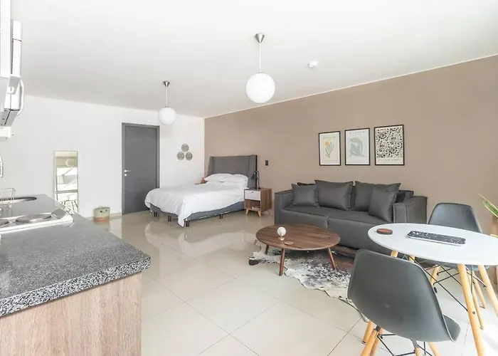 Loft Espectacular En Roma Condesa Apartamento